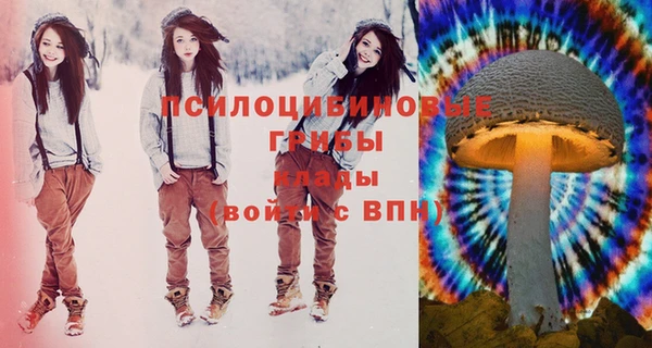 спайс Елизово